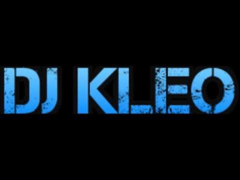 Levels Vs Animals (Dj Kleo)