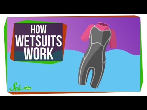 How Do Wetsuits Keep You Warm?