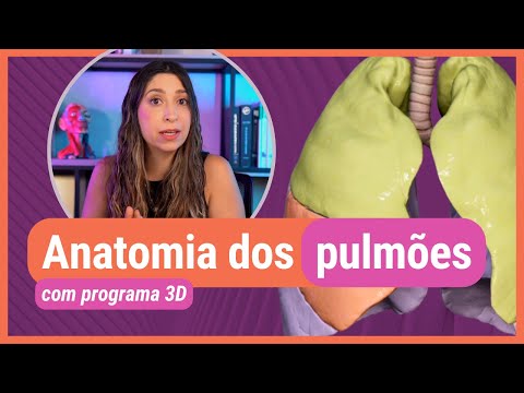 ANATOMIA DOS PULMÕES! Com programa 3D