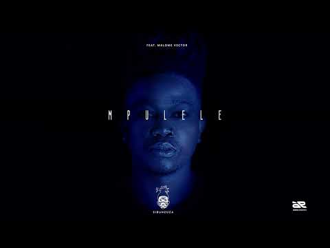 Sibu Nzuza - Mpulele Ft Malome Vector