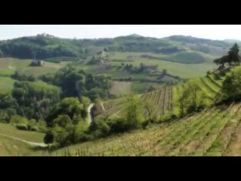 Casa Vinicola Morando   Inglese SD