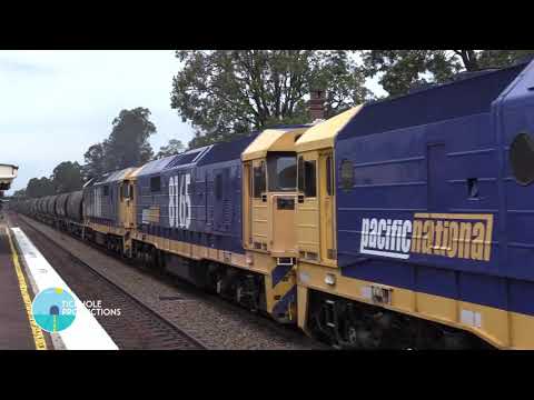 Australian Diesel - Triple 81's - Branxton - February 2020