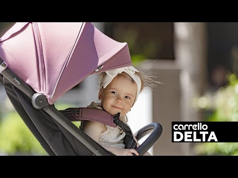 Миниатюра изображения товара Детская прогулочная коляска Carrello Delta / CRL-5517 (Rose Pink)