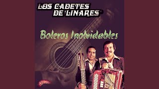 Tengo Un Amor Escondido