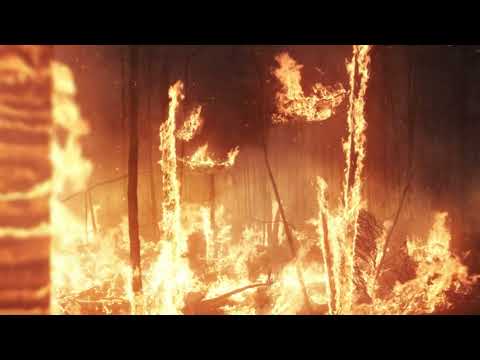 Forest Fires VFX Shot and Breakdown