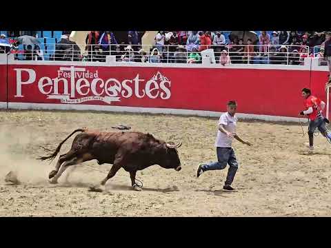 Gran Tarde Taurina en Huancavelica 2025 ¡Impactante COgida de Toro!
