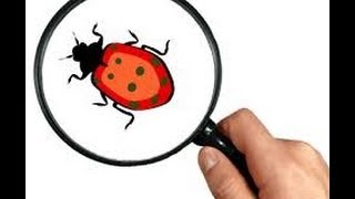 США 615: День Тестировщика - праздник или нонсенс?