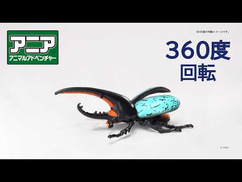 【公式】アニア360度回転動画　「世界の昆虫バトルセット」（ブルーヘラクレスオオカブト）