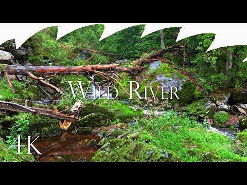 Wild River - Relaxing Whitenoise Waterfall, Calming Mountain River, Soothing 4K Nature, 7 Hours