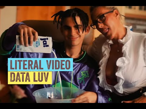 Literal Video: Data Luv - Now