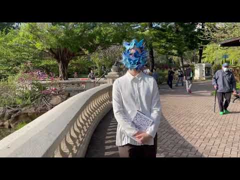 2223 DE-A 3063 Video - Graceful