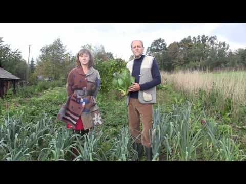 EKOCENTRUM  ICPPPC (1). Lokalna, tradycyjna i ekologiczna żywność