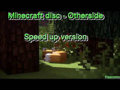 Minecraft disc: Otherside - Speed up version