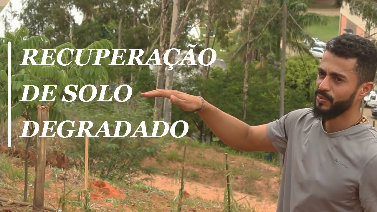 COMO RECUPERAR SOLO DEGRADADO | AGROFLORESTA & PERMACULTURA