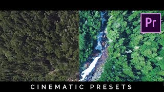 Cinematic Color Presets Pack FREE Download for Premiere Pro (Tutorial)