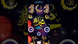 Download lagu Ai Khodijah - Al Qolbu Mutayyam #shorts mp3