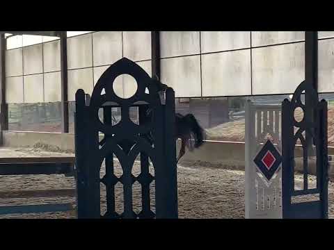 LMD MARKO & Quiktime Z 11-01-23