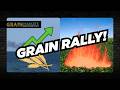 Wheat Prices SURGE on Black Sea Disruptions - Corn/Soybeans Hit Fresh Highs