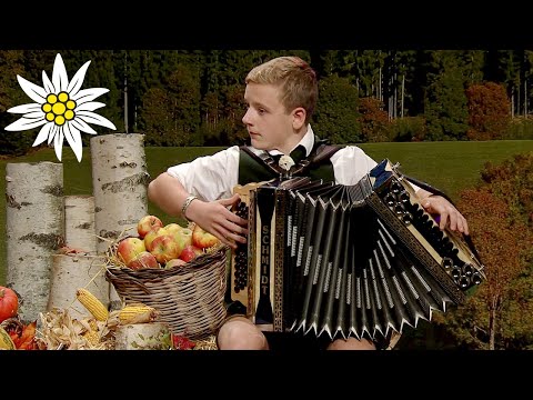 Deutschmeister Regimentsmarsch | Benjamin Pinter-Krainer (Steirischer Harmonikawettbewerb 2016)