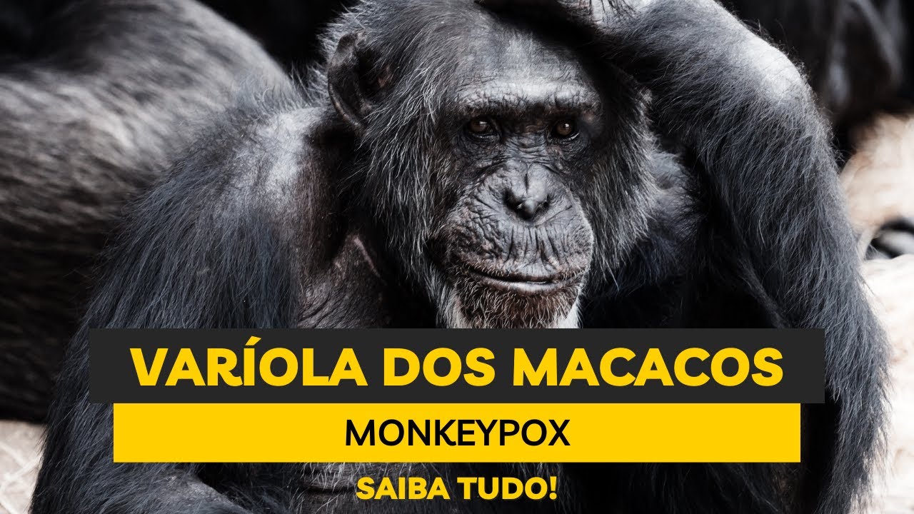 Varíola dos Macacos (Monkeypox): o que é, forma de transmissão, sintomas, vacina | Victor Proença