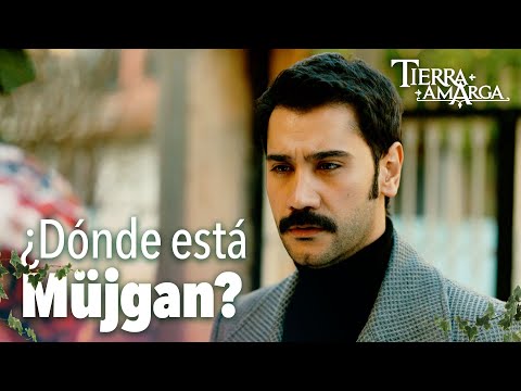 ¿Donde está Müjgan? - Capítulo 77