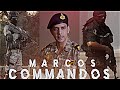 Marcos Commandos Status Marcos Commandos Attitude Status Marcos Commandos Sigma Rule Marcos