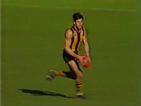 Hawthorn vs Melbourne - Round 11 of 1986
