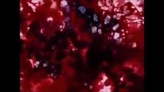 Robert Rental - Double Heart (1980)