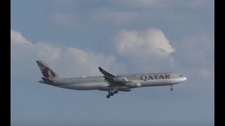 4K | A340-313X - QAF approaching EDDM-Munich Airport 31.05.2025 | 26L