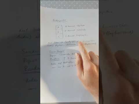 Bodenprofile Grundlagen, Rendzinaboden