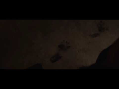 INCARNATE | 2016 | CLIP #4 "DEMON DIVE", WWE