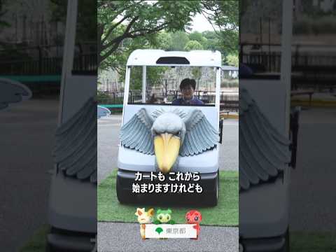 ハシビロコウに会いに行こう！ #東京都 #おでかけ #uenozoo #上野動物園 #shoebill #ハシビロコウ