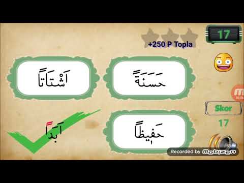 Quranic Learn Quran and Arabic Video