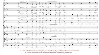 Schumann | An die Sterne [á 8; The Netherlands Chamber Choir]