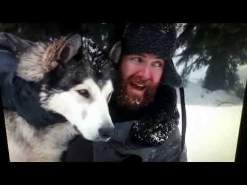 Call of the Wild: Spitz and Buck fight