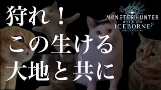 🔴【MHWI】まったりアイスボーン。参加どうぞ～