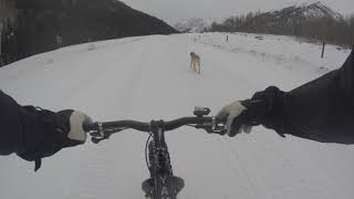 Sun Dog's Vlog: Fat biking scouting report for Dec. 6th. Off to an epic start!