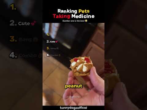 Ranking Pets Taking Medicine💊 #usa