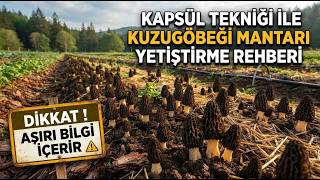 Ceramyca-POD Kapsül Tekniği İle Kuzugöbeği Mantarı Nasıl Yetiştirilir? | Eksiksi