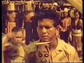 Film Dayak Kalimantan