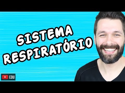 SISTEMA RESPIRATÓRIO - FISIOLOGIA | Biologia com Samuel Cunha