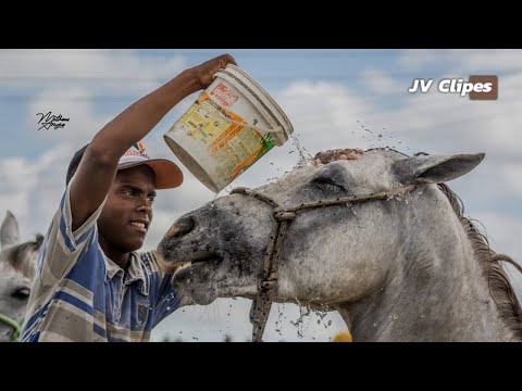 Guilherme Dantas - Saudade de Uma Vaquejada [ Clipe Vaquejada ] ft. Edyr Vaqueiro JV CLIPES