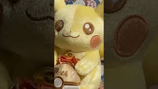 Pikachu Pikachu Pikachu 30th golden Pokemon