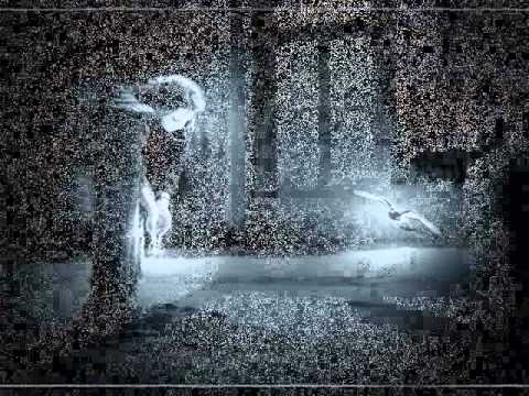 NEJAT İNAN - seni hala seviyorum