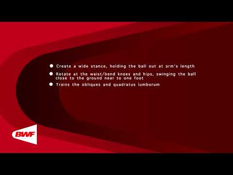 CE2M8V56 Swiss Ball - Wood Chop