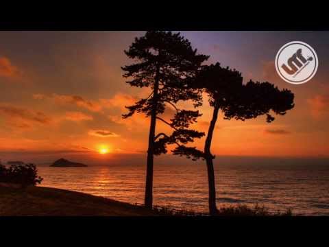 The Sunchasers - Utopia (Gilbert Le Funk Remix)