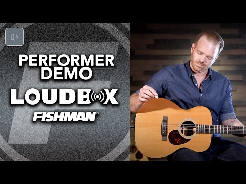 Fishman Loudbox Performer Bluetooth Acoustic Guitar Combo Amplifier, 180W, Brown image 6