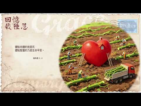 【栽在溪水旁】《羅馬書 8 章 6 節》｜每天靈修系列｜2026-05-29
