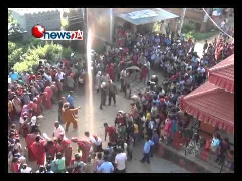 साठीघरमा गाईजात्रा - NEWS24 TV