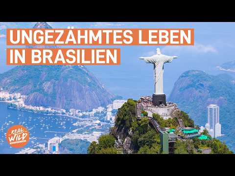 Brasiliens verborgene Welt: Warum das Volk der Calon niemals sesshaft wird